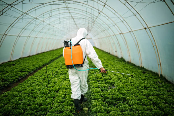 Best Affordable Pest Control Services  in Arcadia, IN