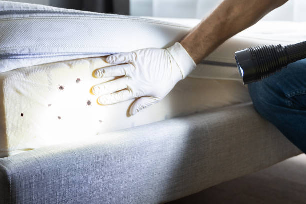 Best Pest Control for Businesses  in Arcadia, IN