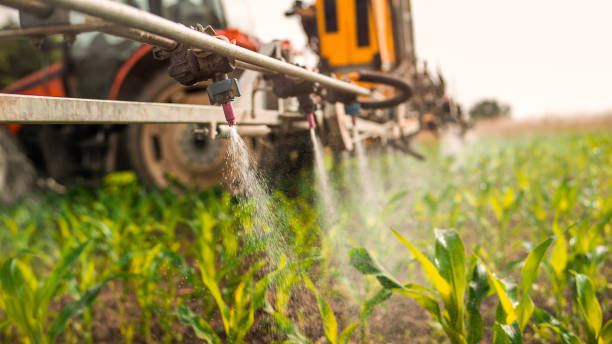 Best Mosquito Control Services  in Arcadia, IN