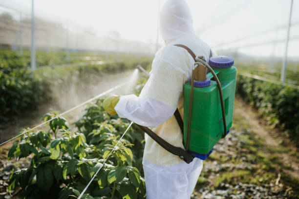  Arcadia, IN Pest Control Pros